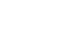 Wire Light Logo